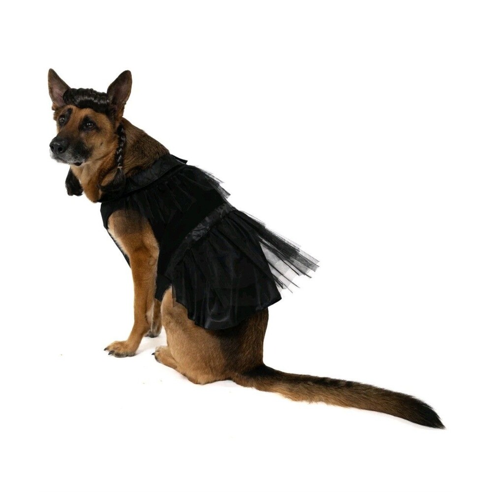 Vibrant Life Gothic Witch Dog/Pet Halloween Costume Wig & Outfit L (50-90Lbs)